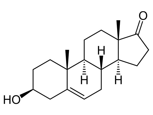 DHEA (prasteron)