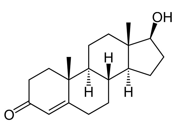 Testosteron